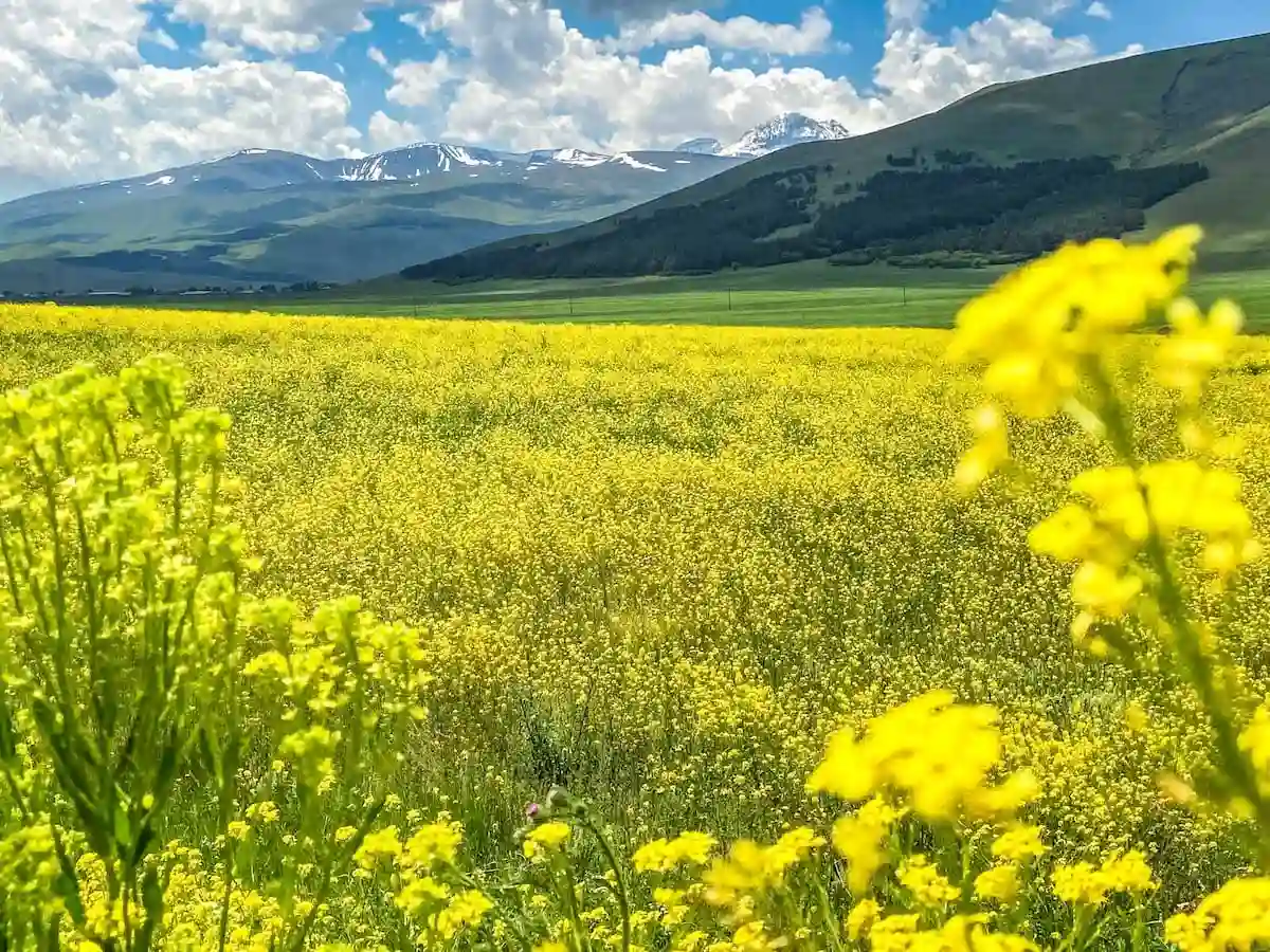 Places-to-visit-in-Aragatsotn Armnia