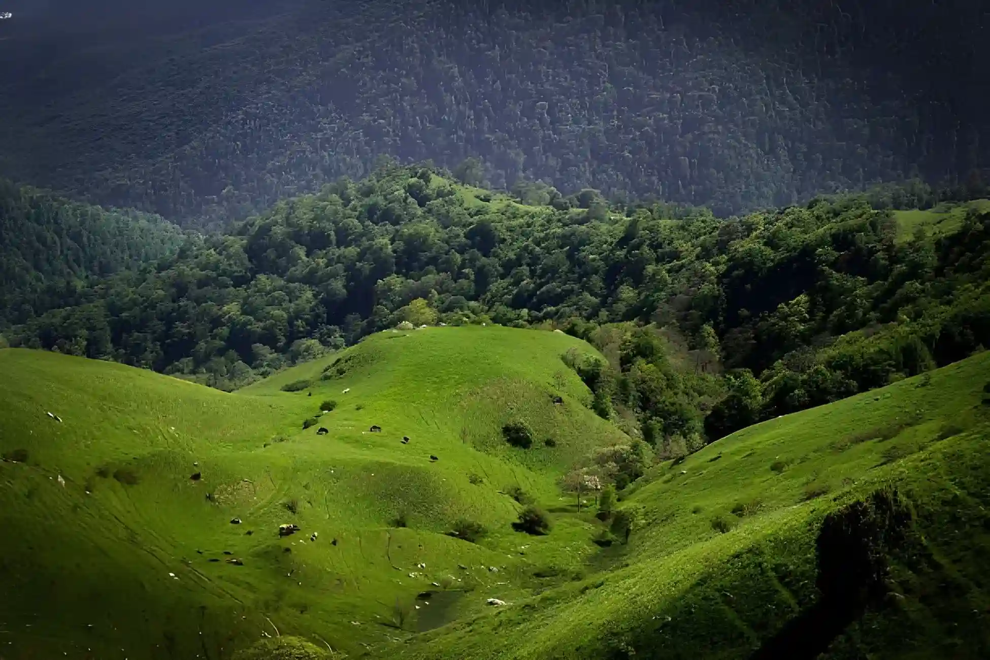 Nature and Adventure Tours in Armenia