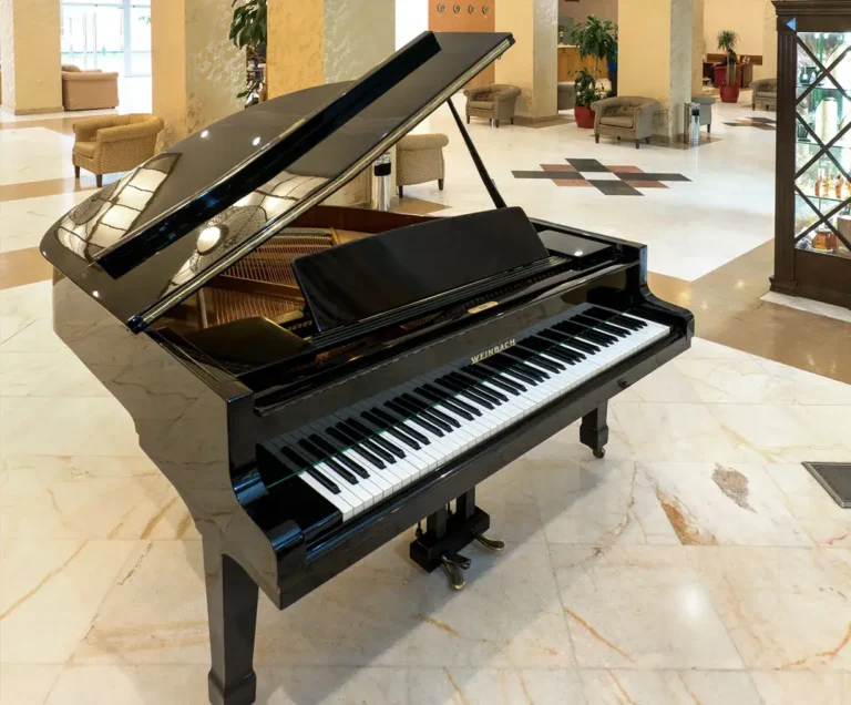 Ani plaza hotel piano