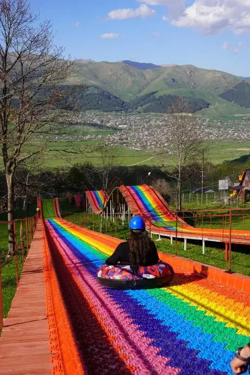 Wolf Mount Glamping dry toboggan run